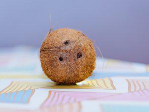 Salud Ecológica: Azucar de coco